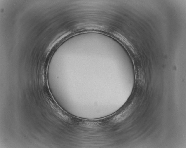 X0000081630782200701291320