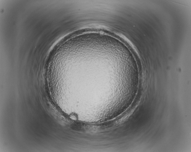 X0000081630783200701291320