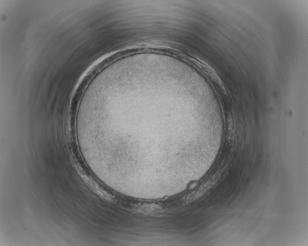 X0000081630784200701291320