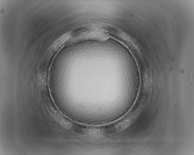 X0000081630785200701291320