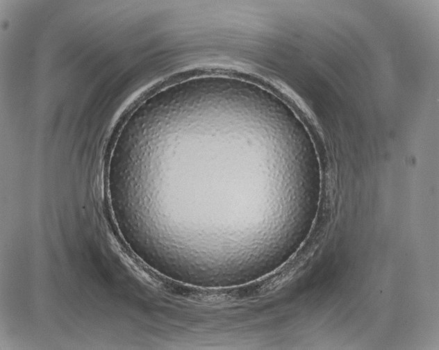 X0000081630791200701291320