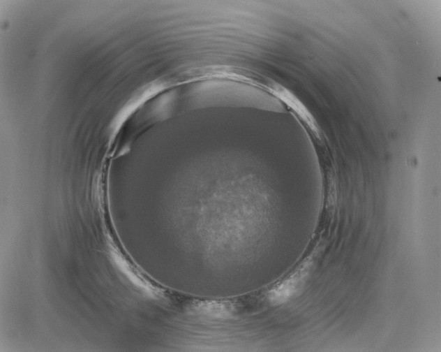 X0000081630806200701291320