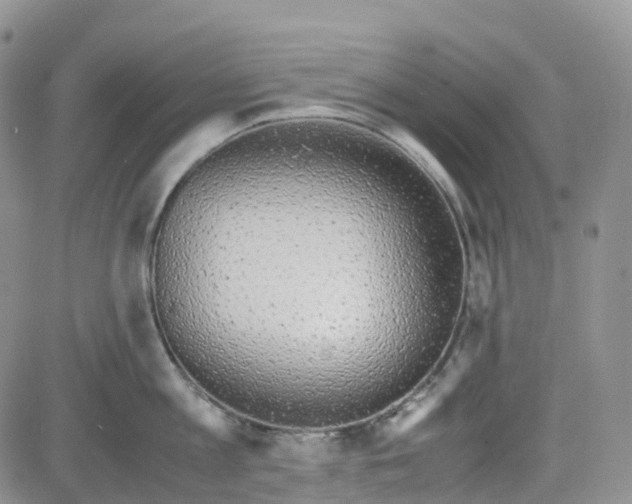 X0000081630813200701291320