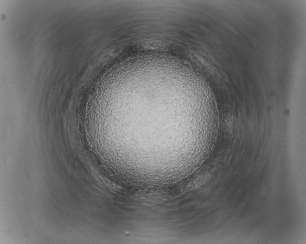 X0000081630817200701291319
