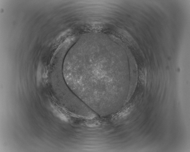 X0000081630818200701291319