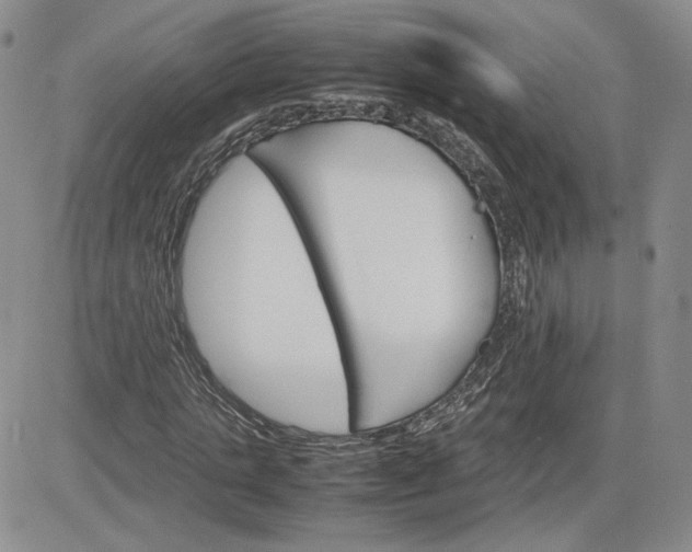 X0000081630821200701291319