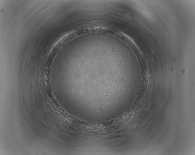 X0000081630823200701291319