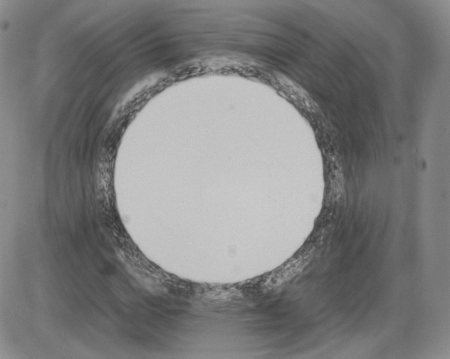 X0000081630824200701291319