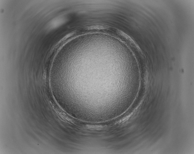 X0000081630825200701291319
