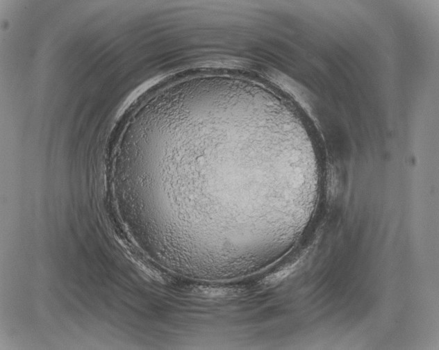X0000081630829200701291319
