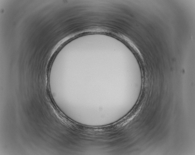 X0000081630837200701291319