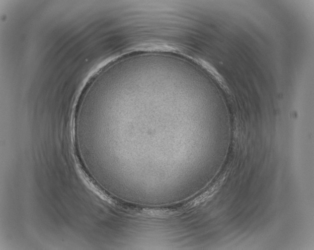 X0000081630840200701291319