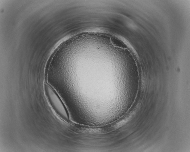 X0000081630845200701291319