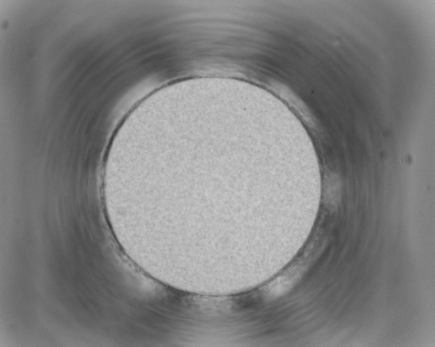 X0000081630856200701291320