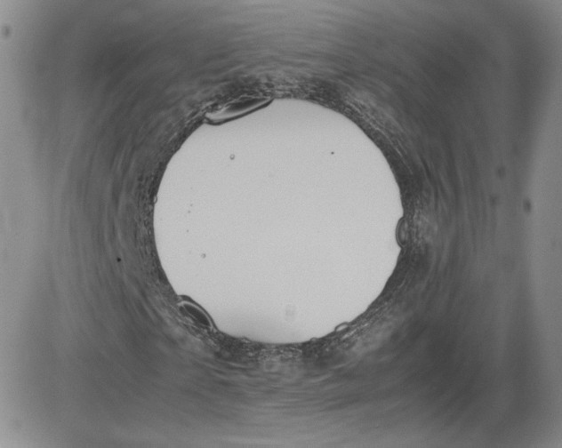 X0000081630865200701291319