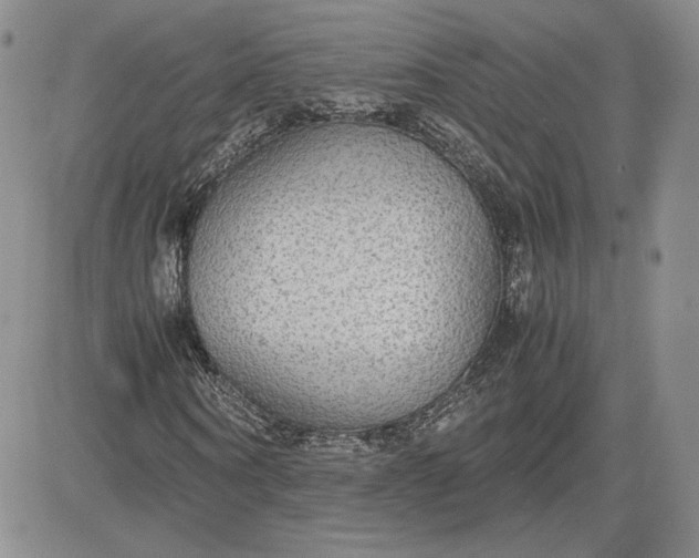 X0000081630866200701291319