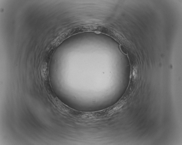 X0000081630867200701291319