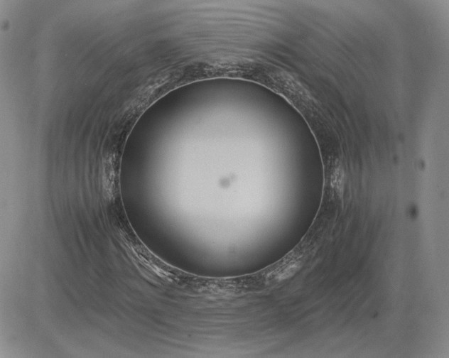 X0000081630868200701291319