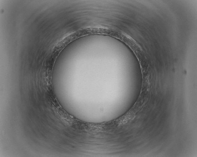 X0000081630870200701291319
