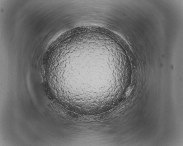 X0000081630871200701291319