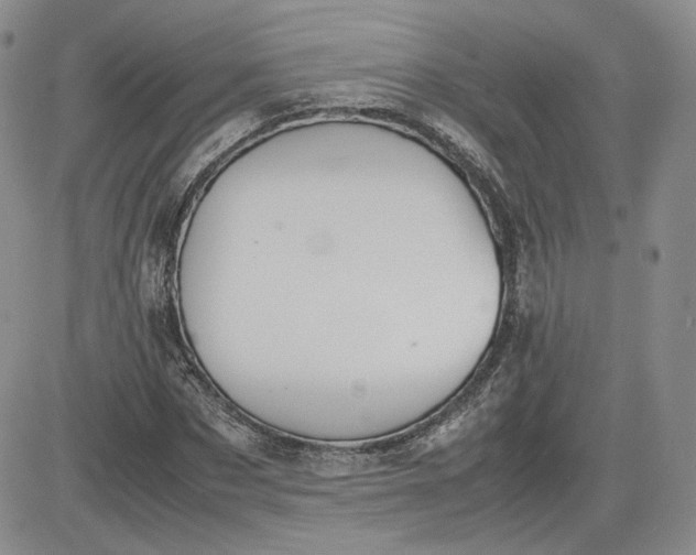 X0000081630873200701291319