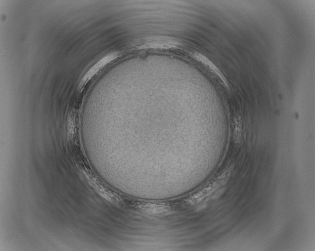 X0000081630874200701291319