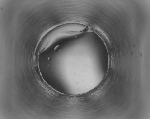 X0000081630876200701291319