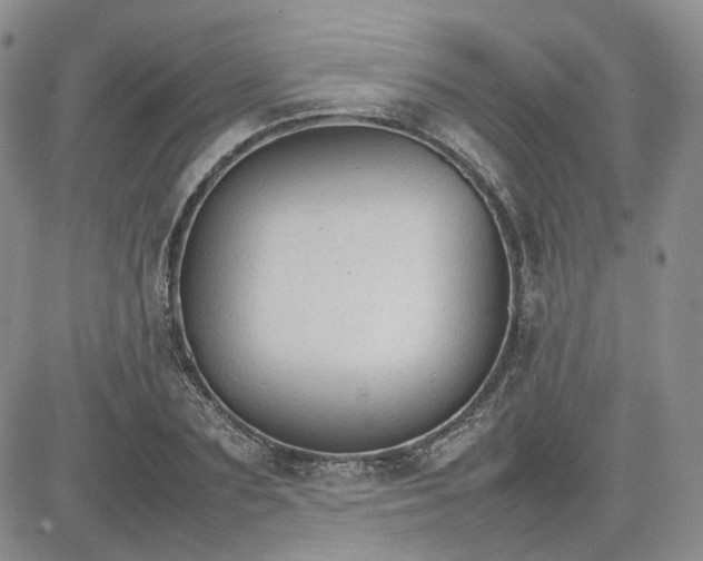 X0000081630883200701291319