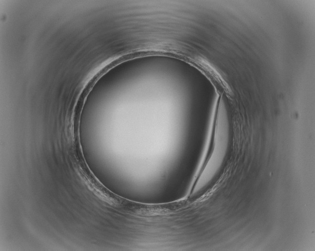 X0000081630884200701291319