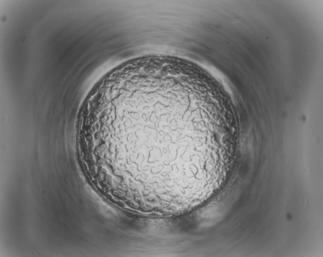 X0000081630903200701291318