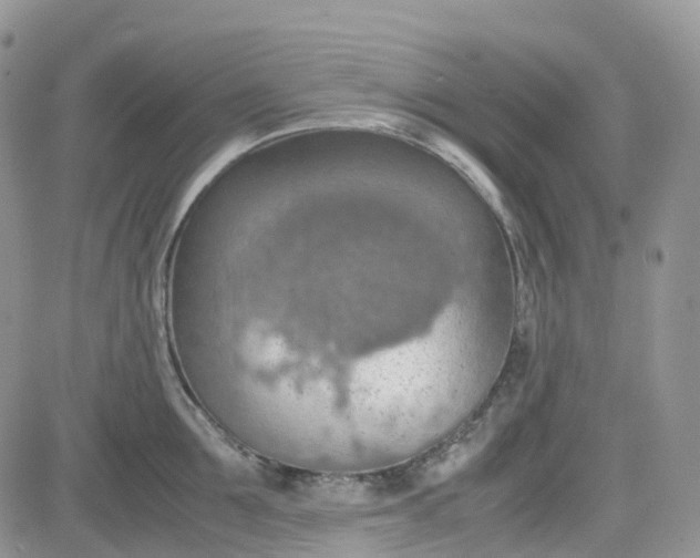 X0000081630907200701291318