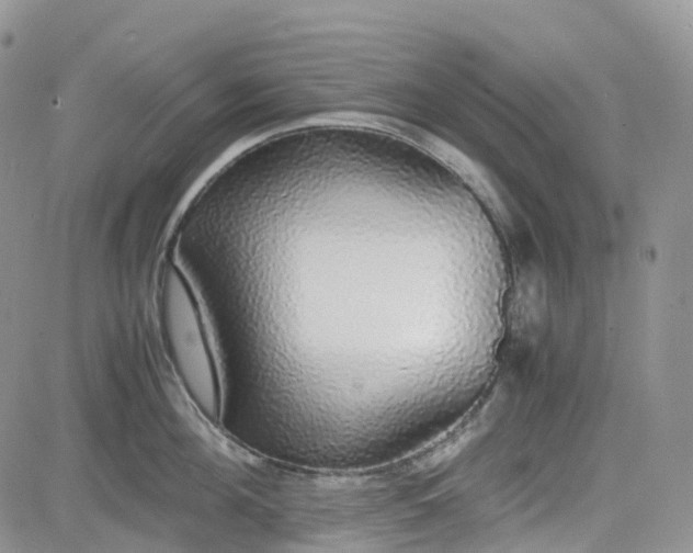 X0000081630908200701291318