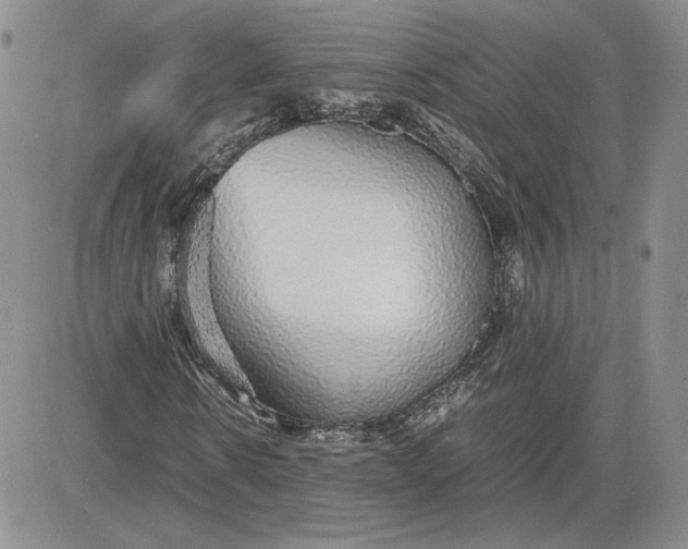 X0000081630914200701291317