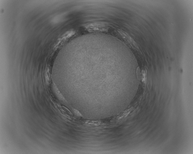 X0000081630915200701291317