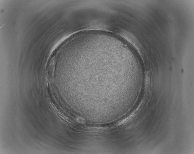X0000081630925200701291318