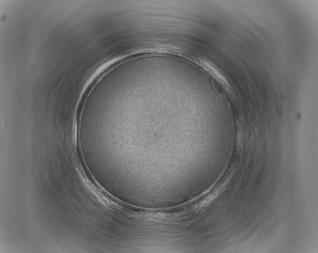 X0000081630940200701291318