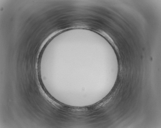 X0000081630947200701291318