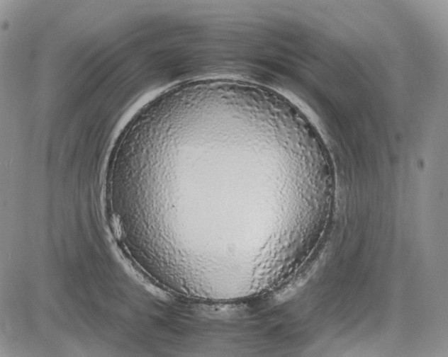 X0000081630949200701291318