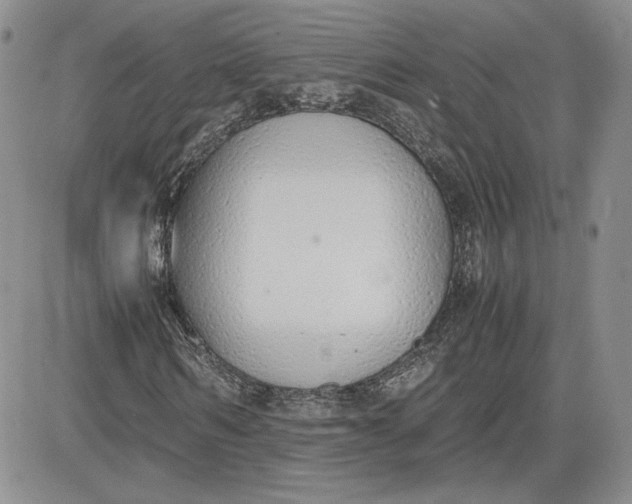 X0000081630962200701291317
