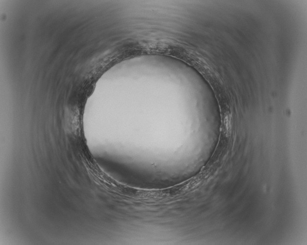 X0000081630963200701291317