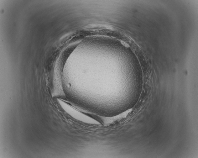 X0000081630965200701291317
