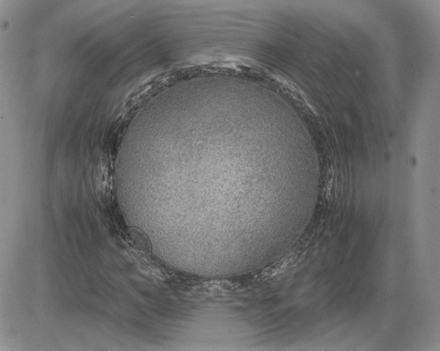 X0000081630966200701291317
