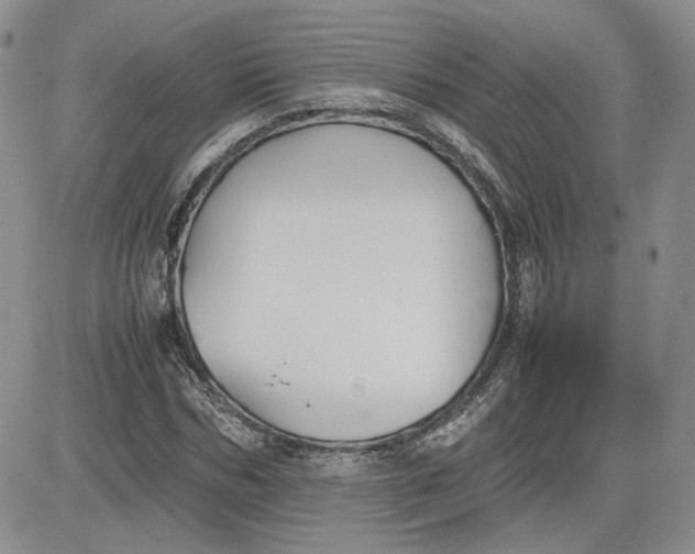 X0000081630970200701291317