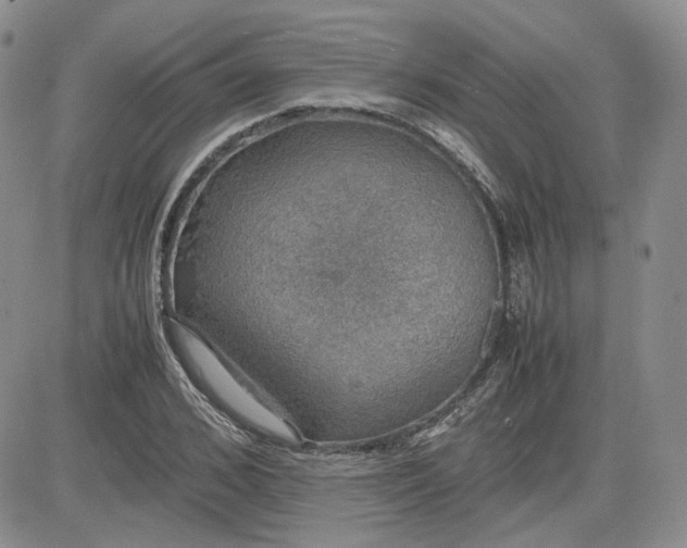 X0000081630976200701291317