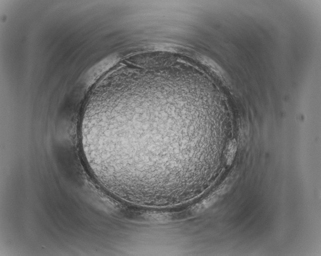 X0000081630977200701291317