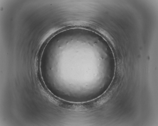 X0000081630983200701291317