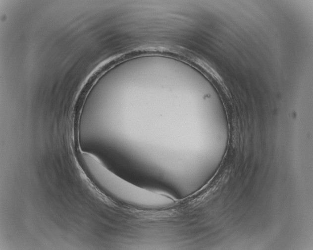 X0000081630984200701291317