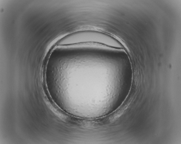 X0000081630987200701291317