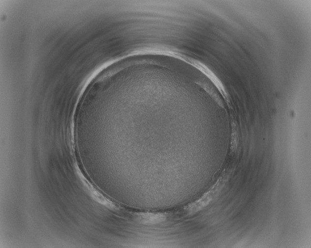 X0000081630996200701291317