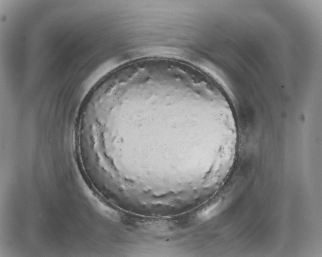 X0000081630999200701291317